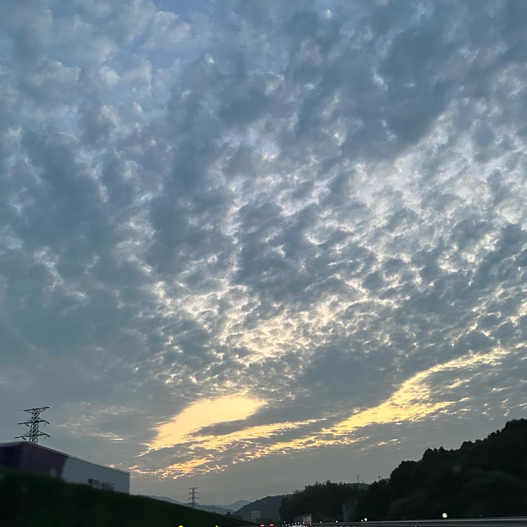 大鑫米面油线报分享