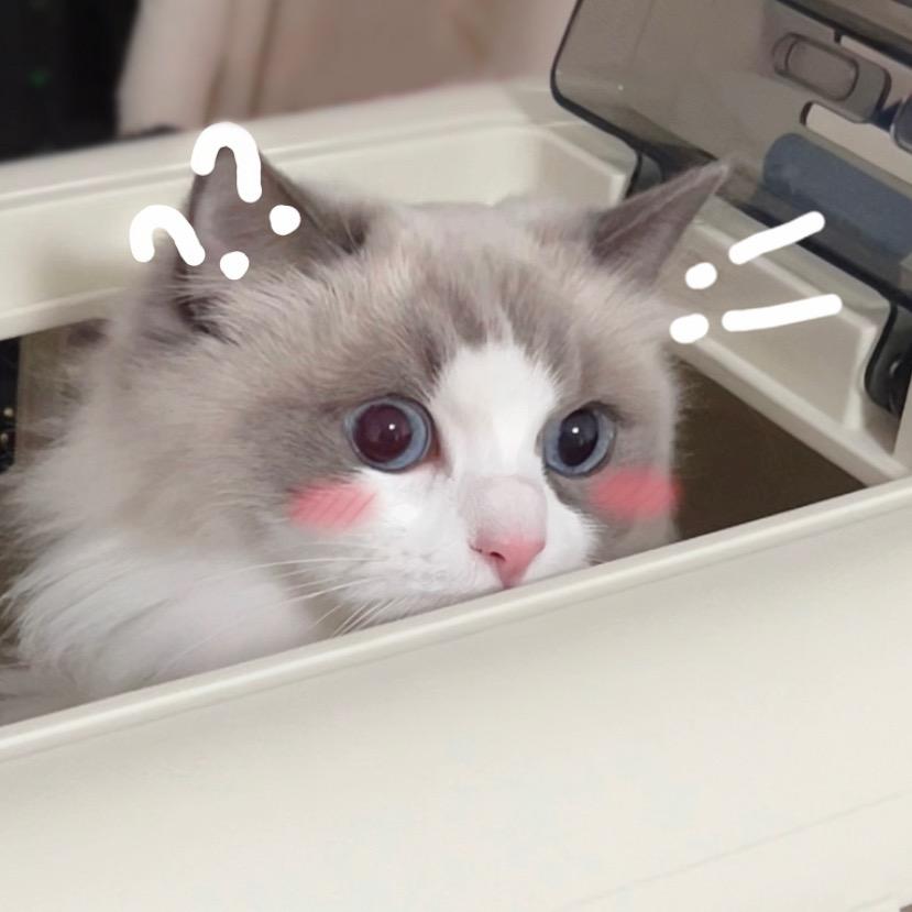 小吴追老李