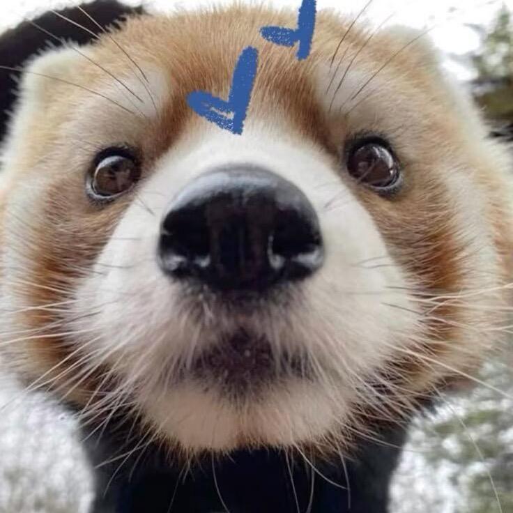 我想吃桃子