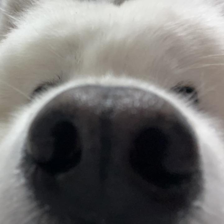 好 长 好 长 的 名 字