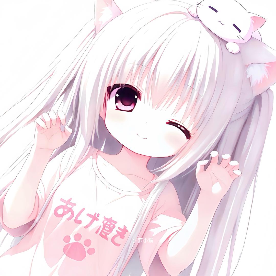 少萝小猫