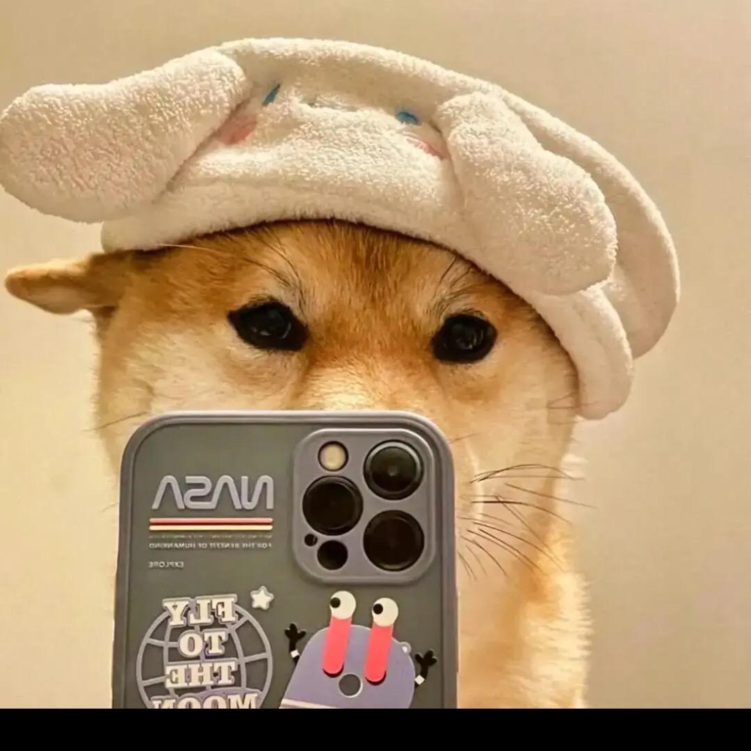 哦吼1