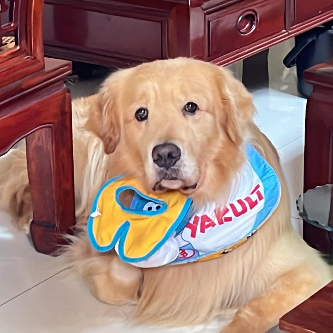 不是喝的果粒橙🐶