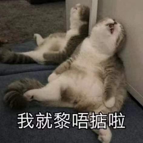 漆黑中滴萤火虫