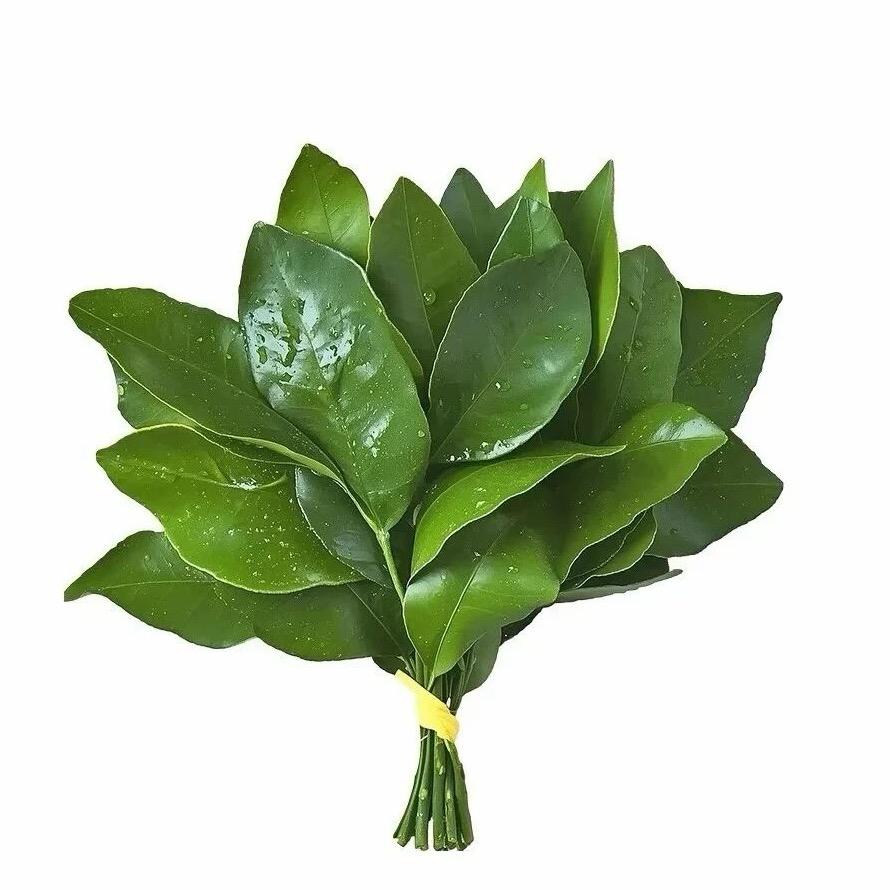 椰椰小卷饼