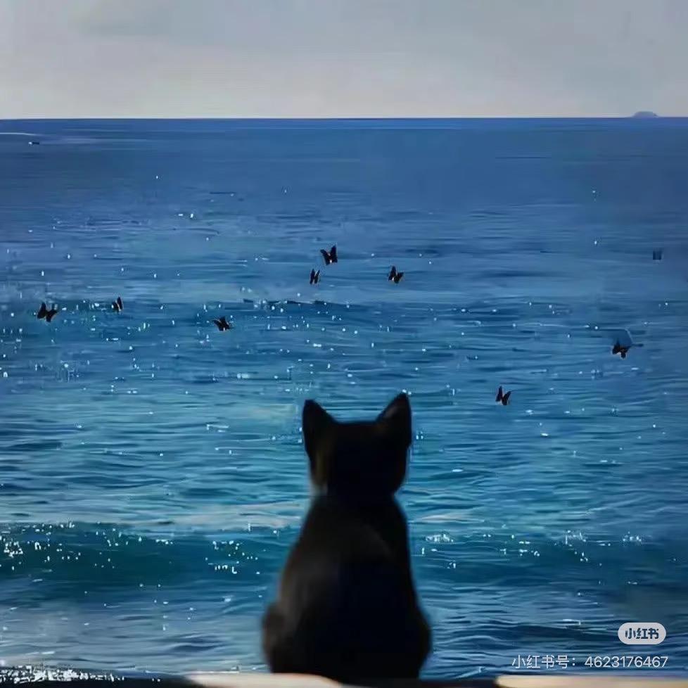 正在沉淀的懒羊羊（封票版）