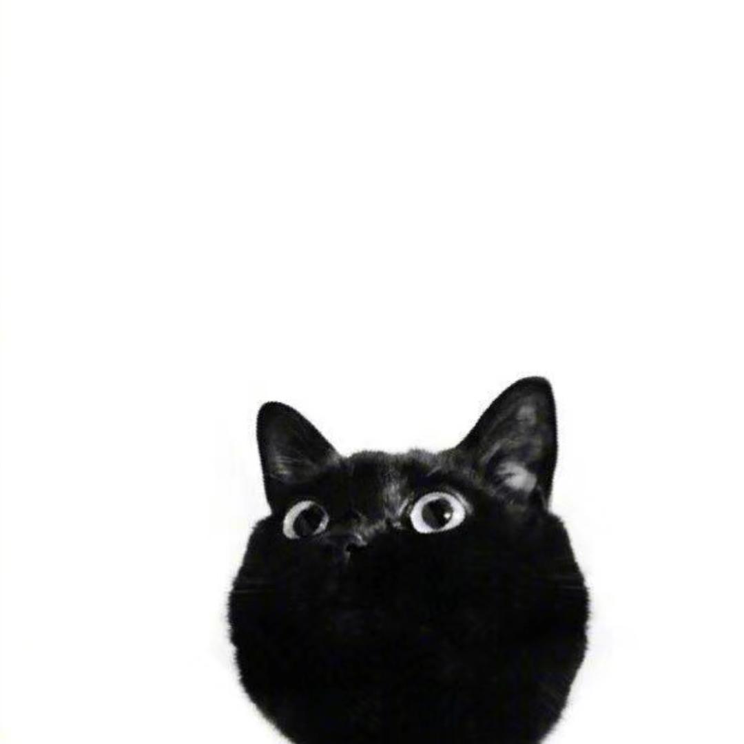 Tikzz