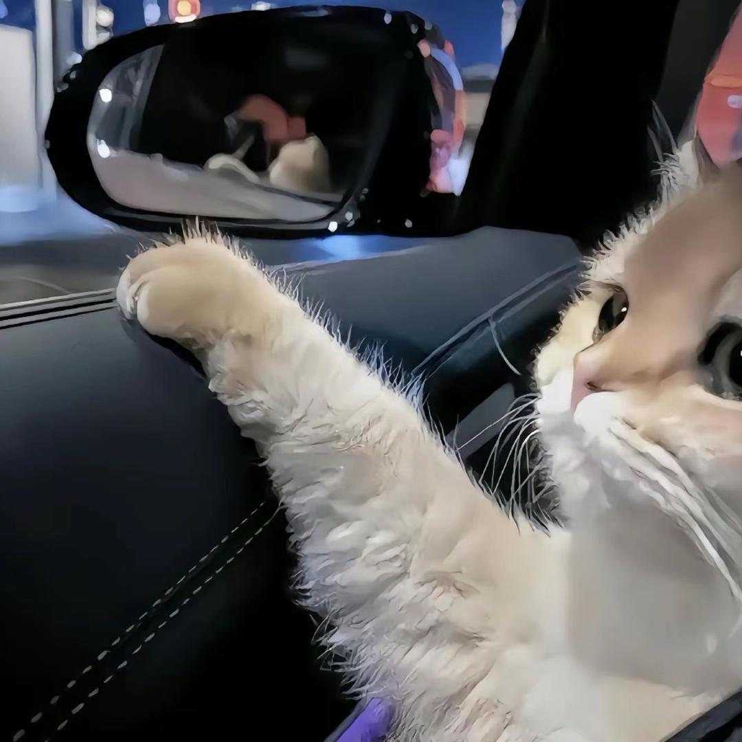 蚕宝宝三宅褶皱工厂店