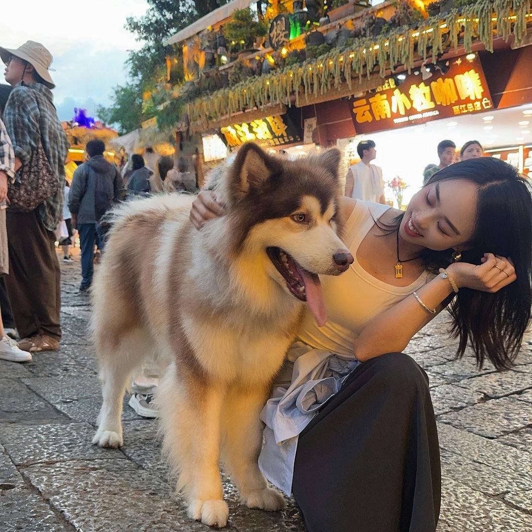 忙忙碌碌的W小姐