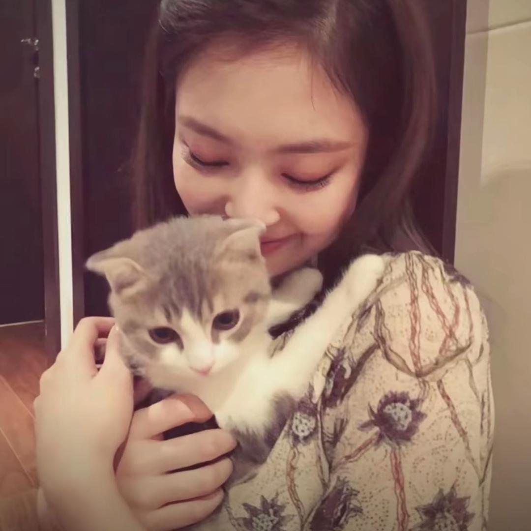 哈哈大王是我啦啦