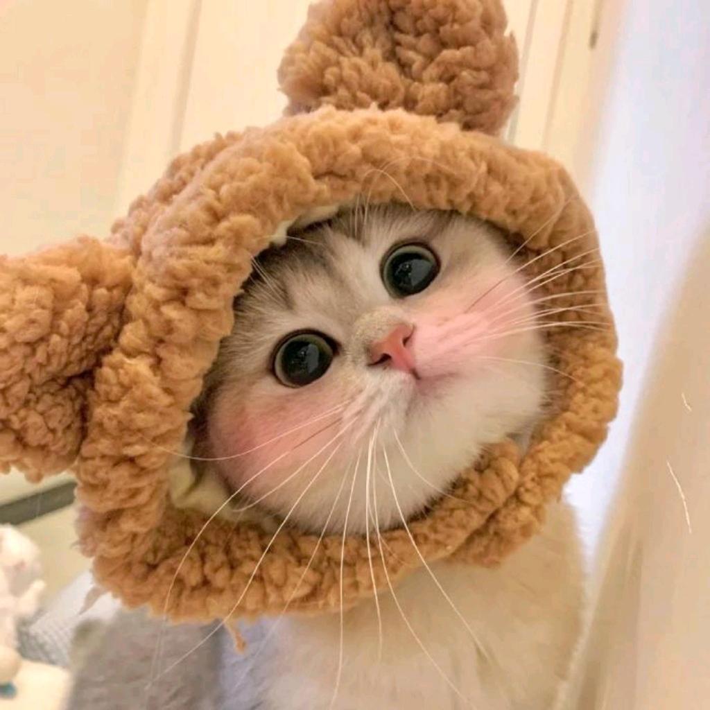 呱呱故事汇