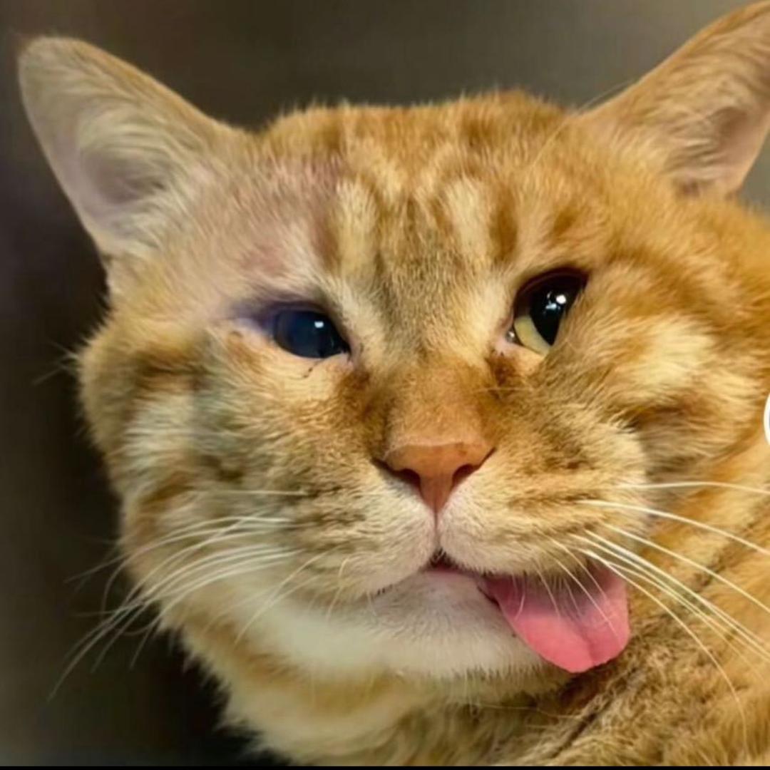 绝非必要（以闪版）