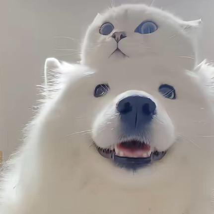 怎么天天晚睡