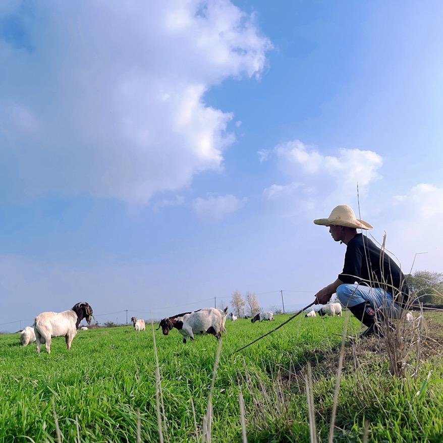 嘿、小龙🏳️‍🌈
