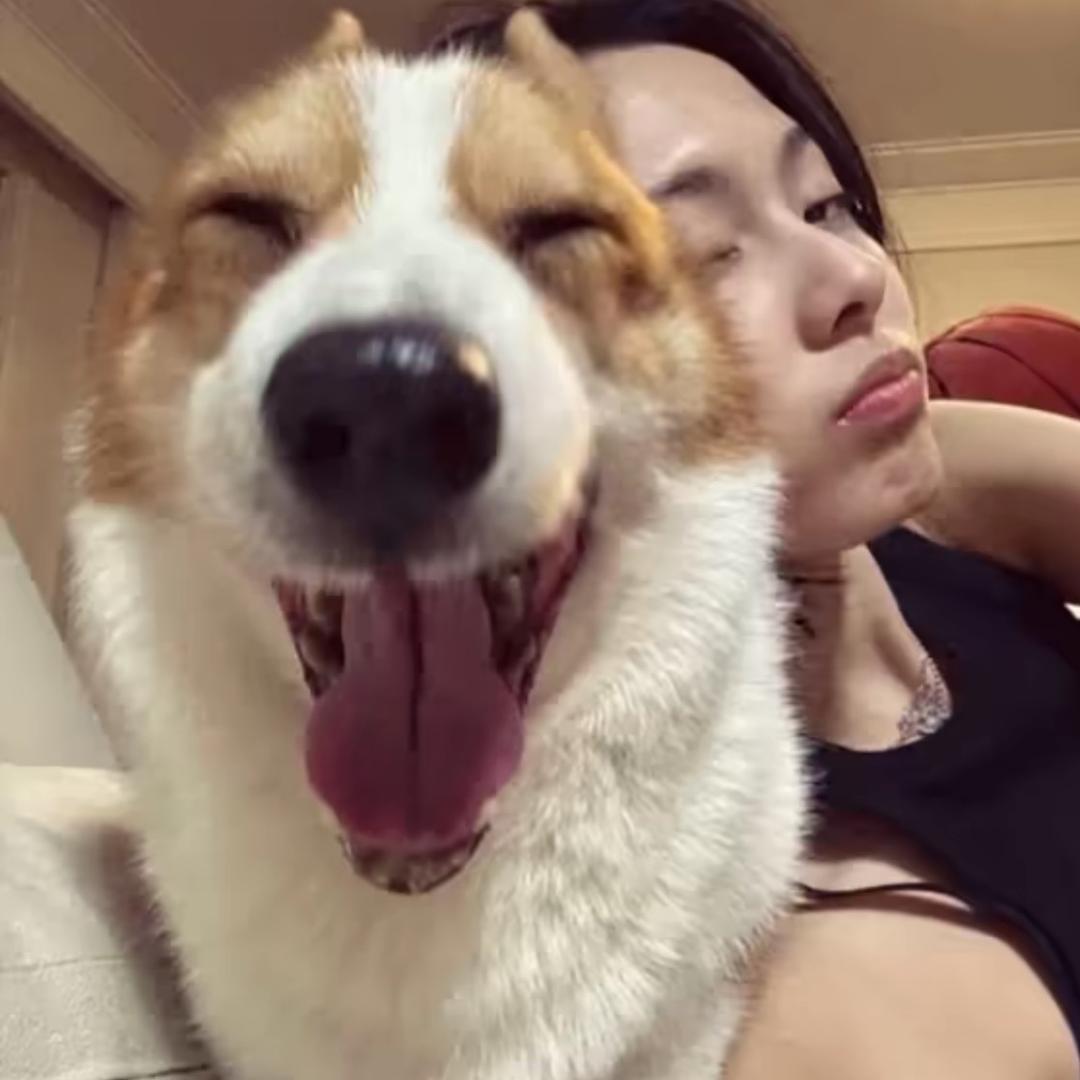 葡小萄