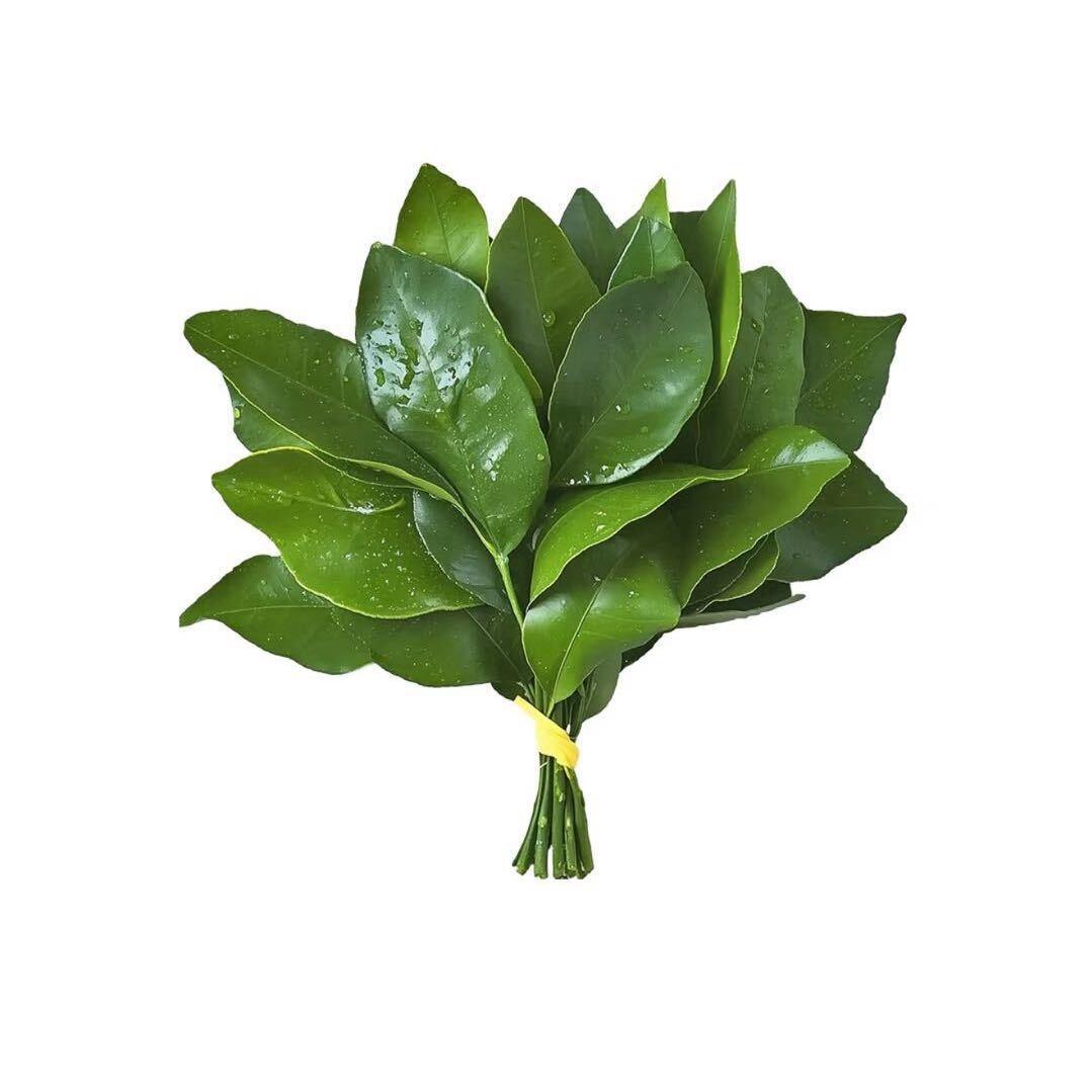 圆