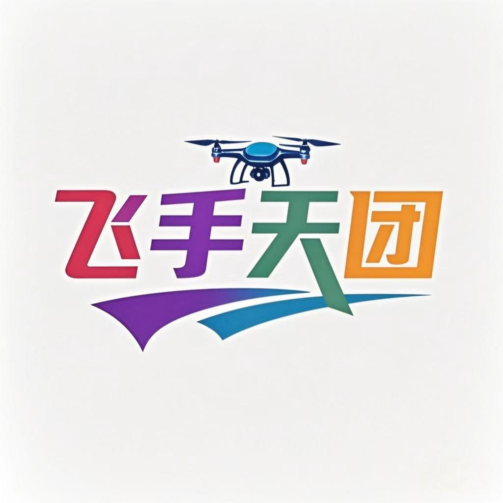 飞手天团—燕子