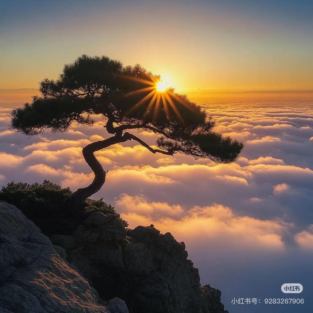 搞怪是什么感觉