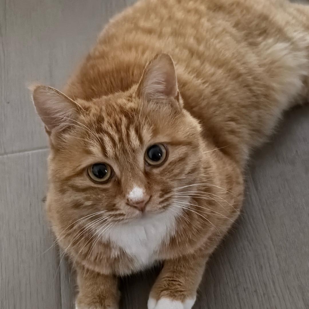 小小年纪是超人