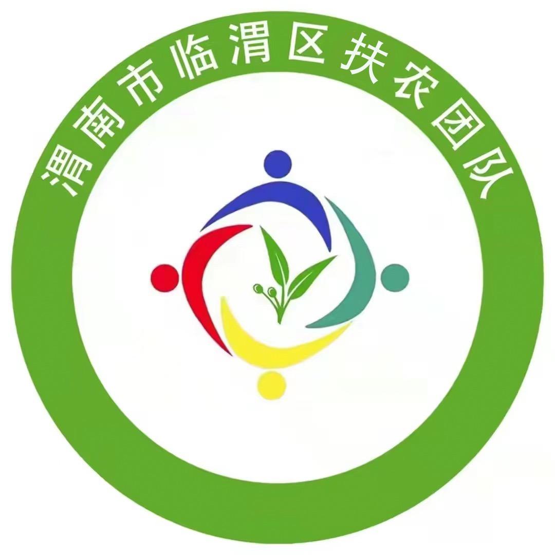 渭南市临渭区扶农团队
