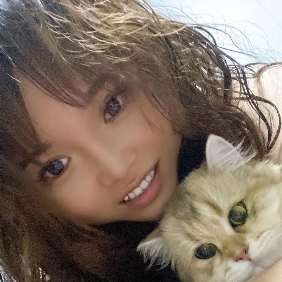 雅雅养猫（英短猫舍）