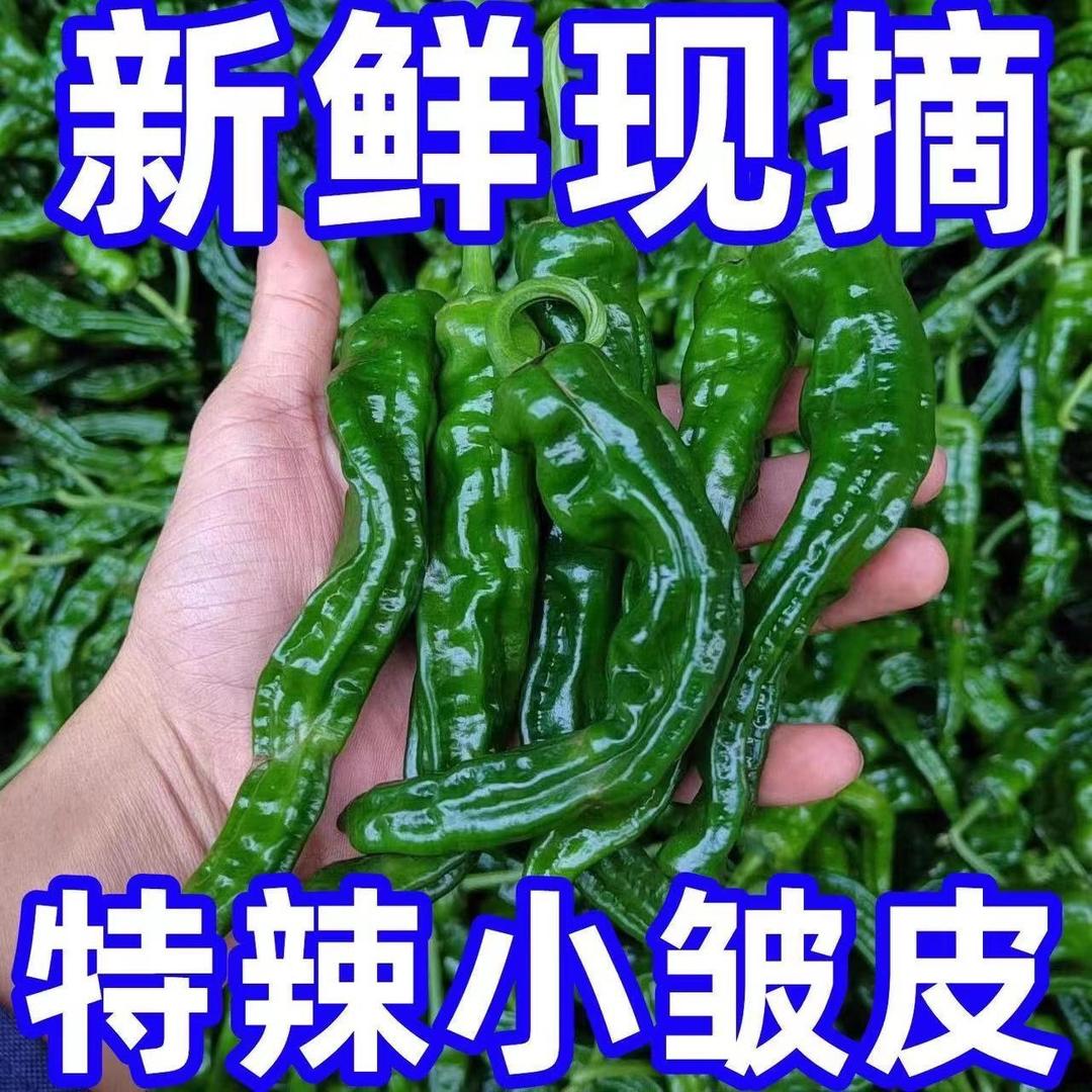 舒心优选日用品个体店