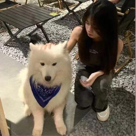 呼呼^3^