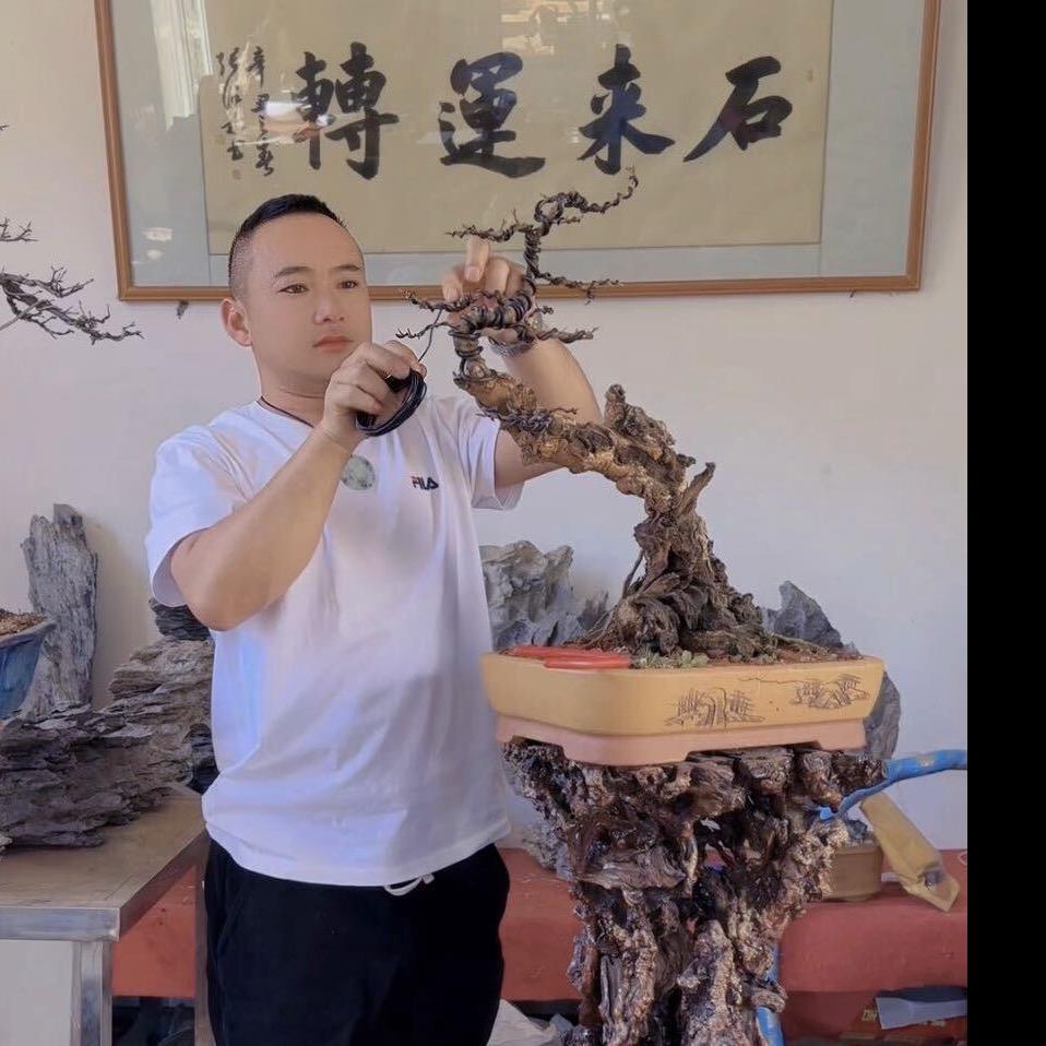 绿缘阁普先生