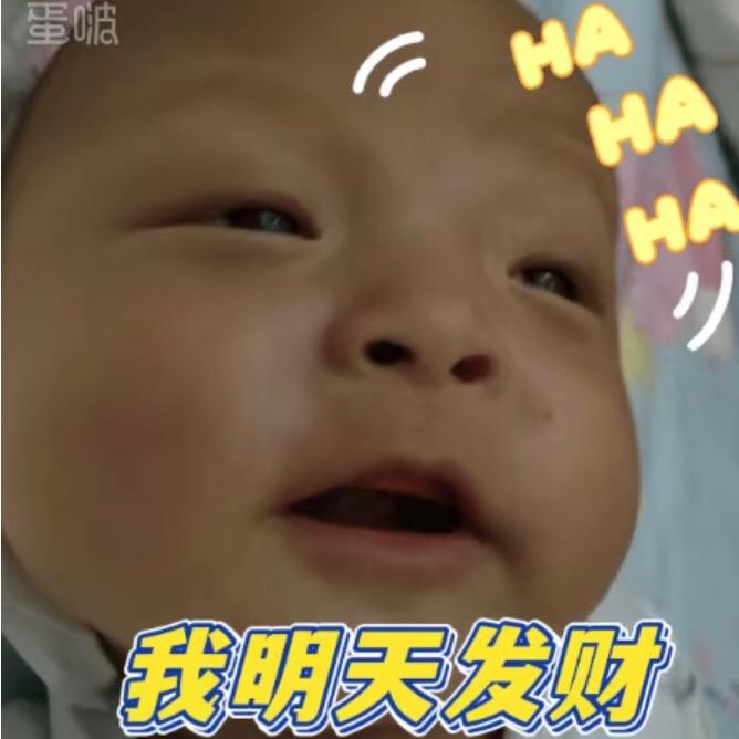 鸿