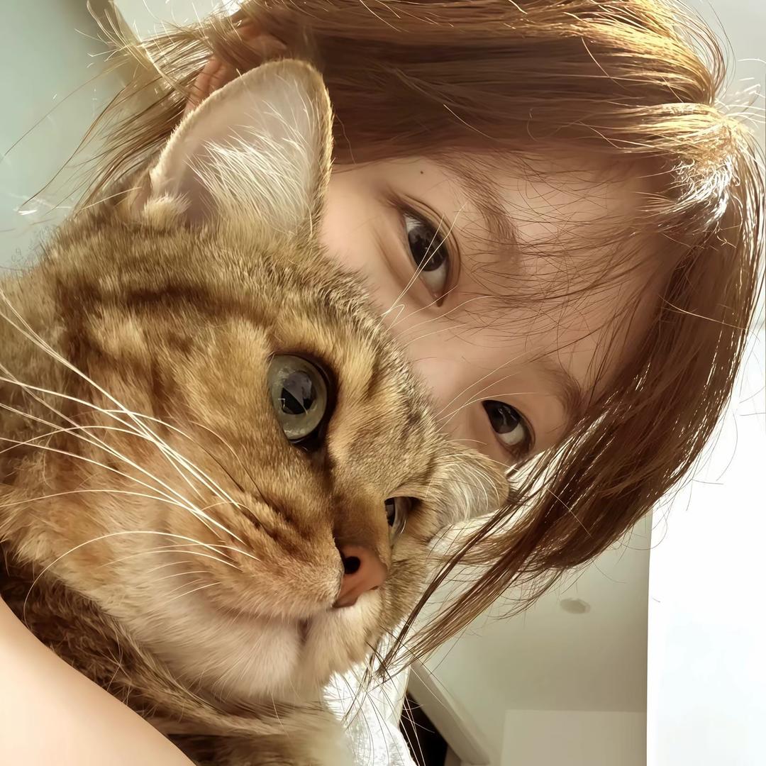 曦