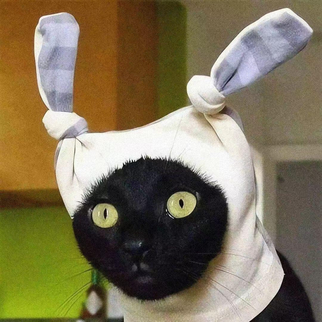 语言尖刀（封号斗罗版）