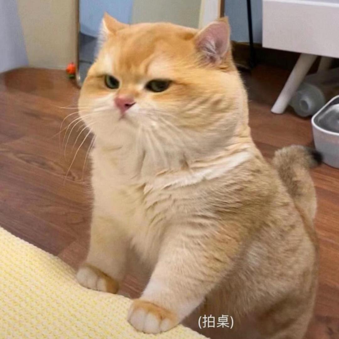 🔥武当王也⁶⁸¹