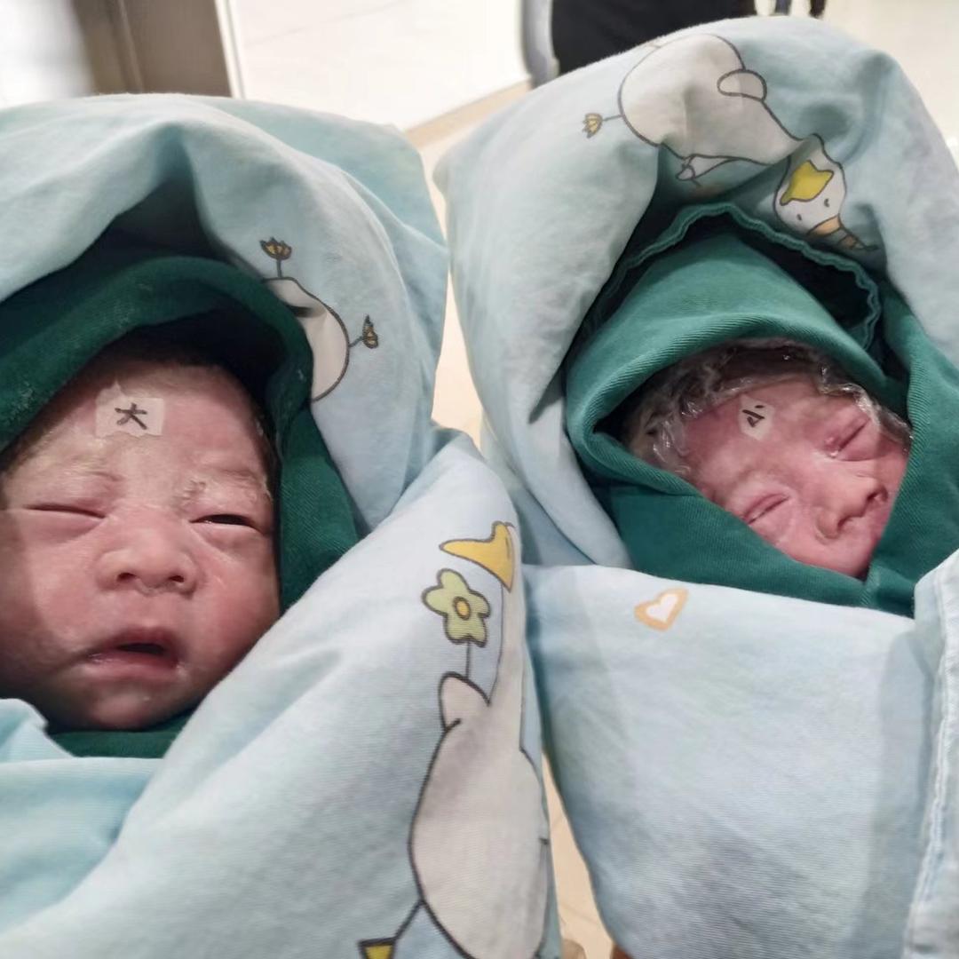 活力橙与柠檬精