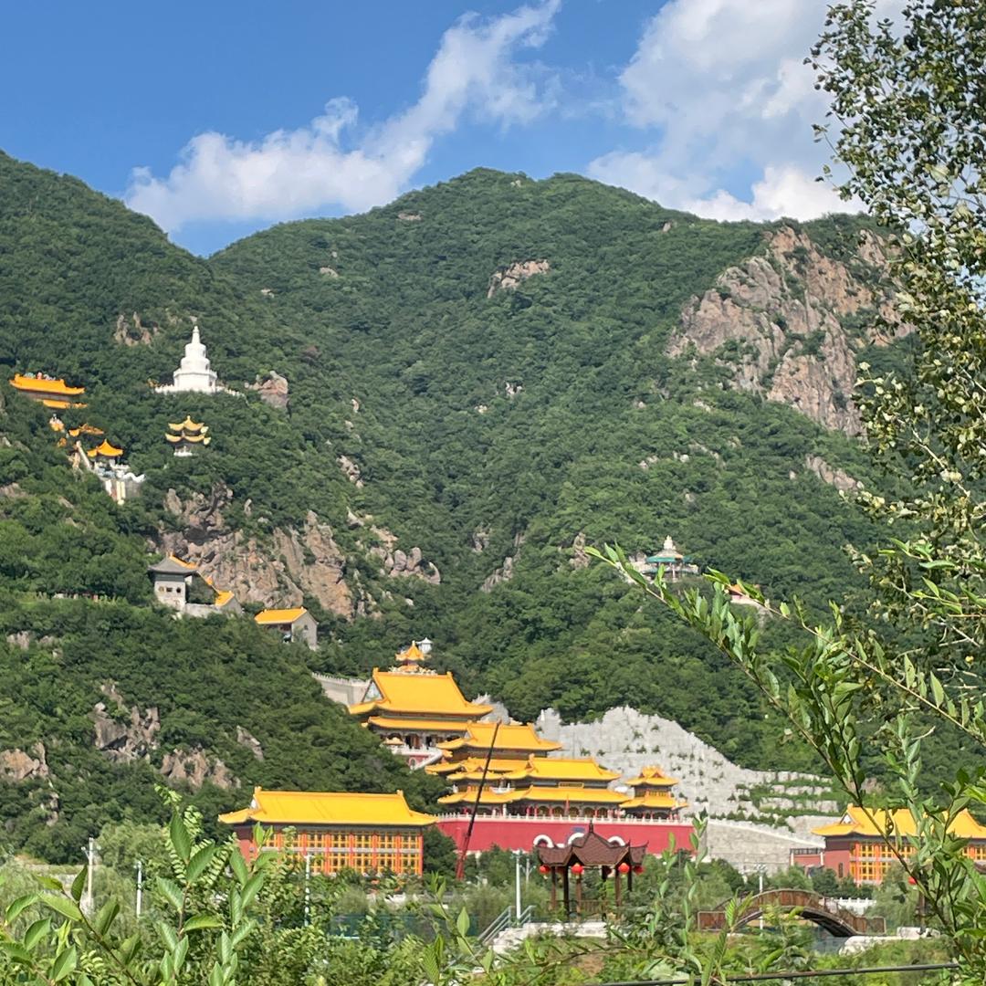 🙏普济龙凤堂 龙🙏