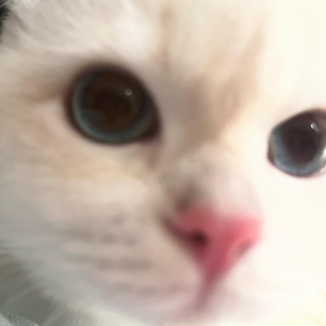 书背雯