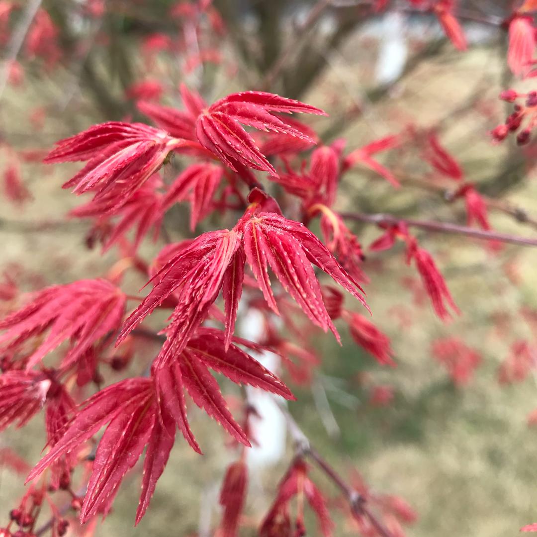 看破红尘