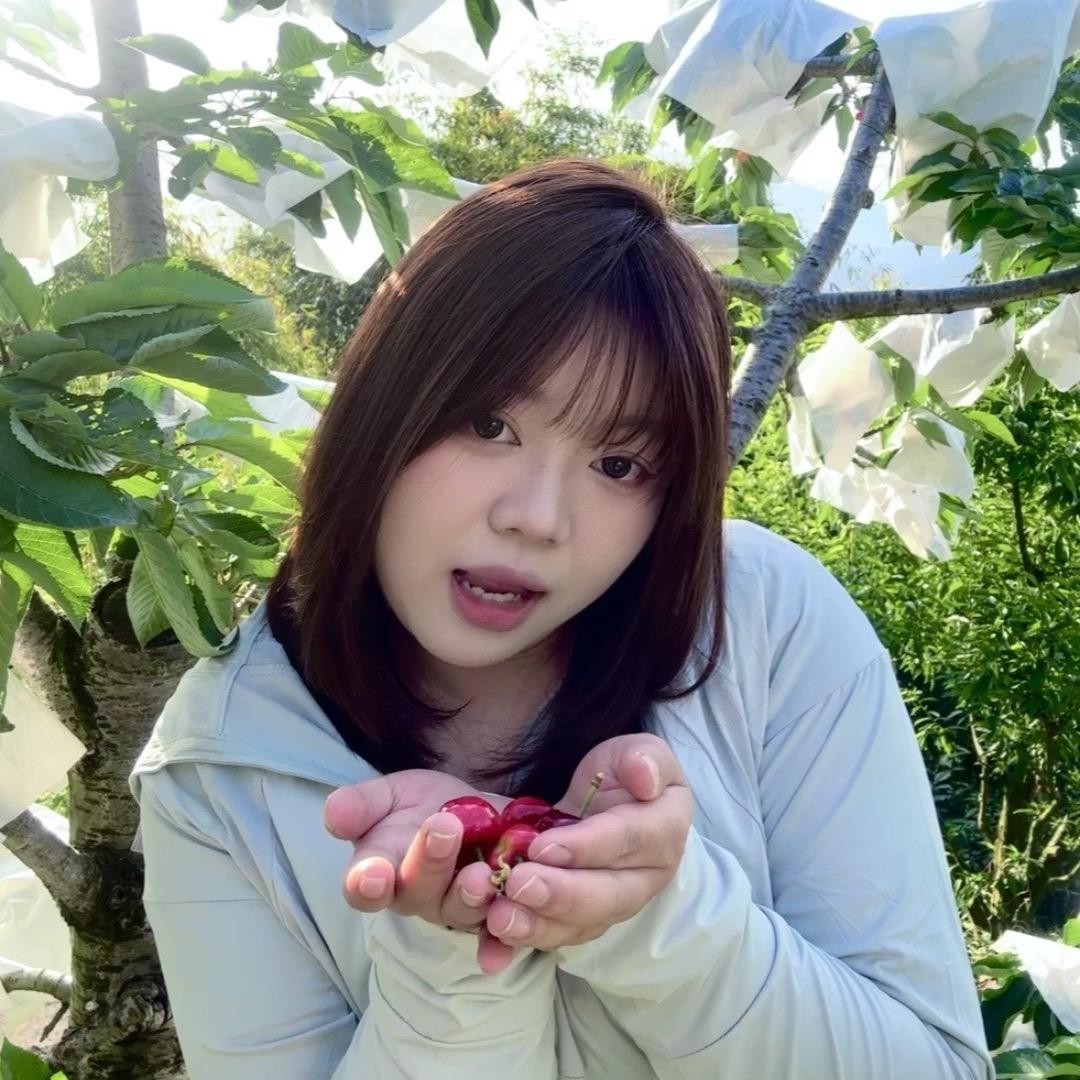 小燕同学🍒