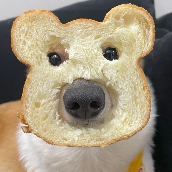 @我要开森