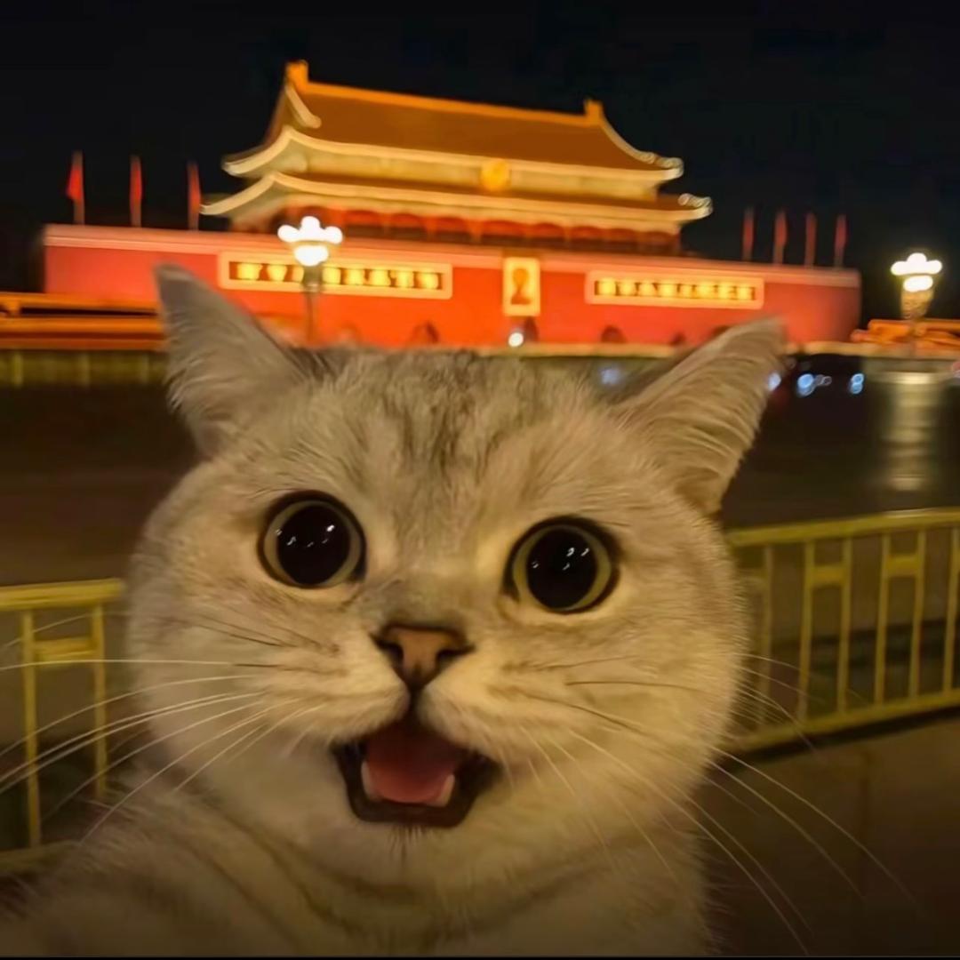 一杯可乐🧊