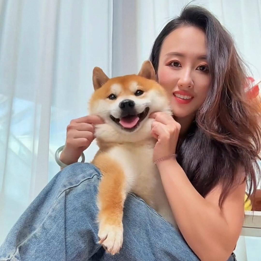 霞姐聊柴犬