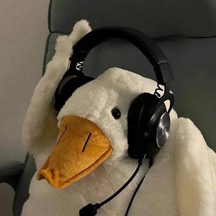 张有情