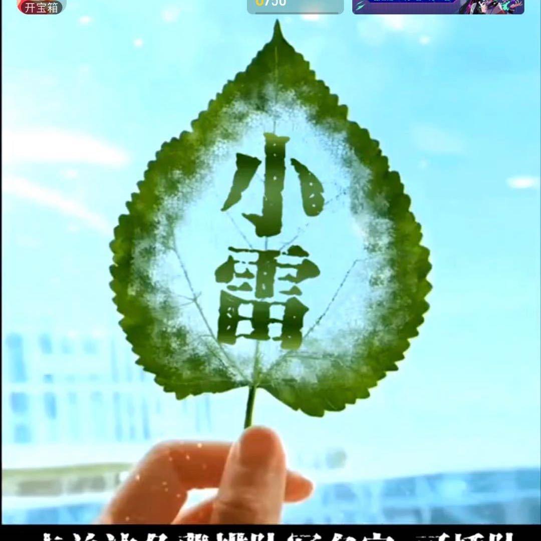 幼小衔接小雷（富平-到贤双校区）