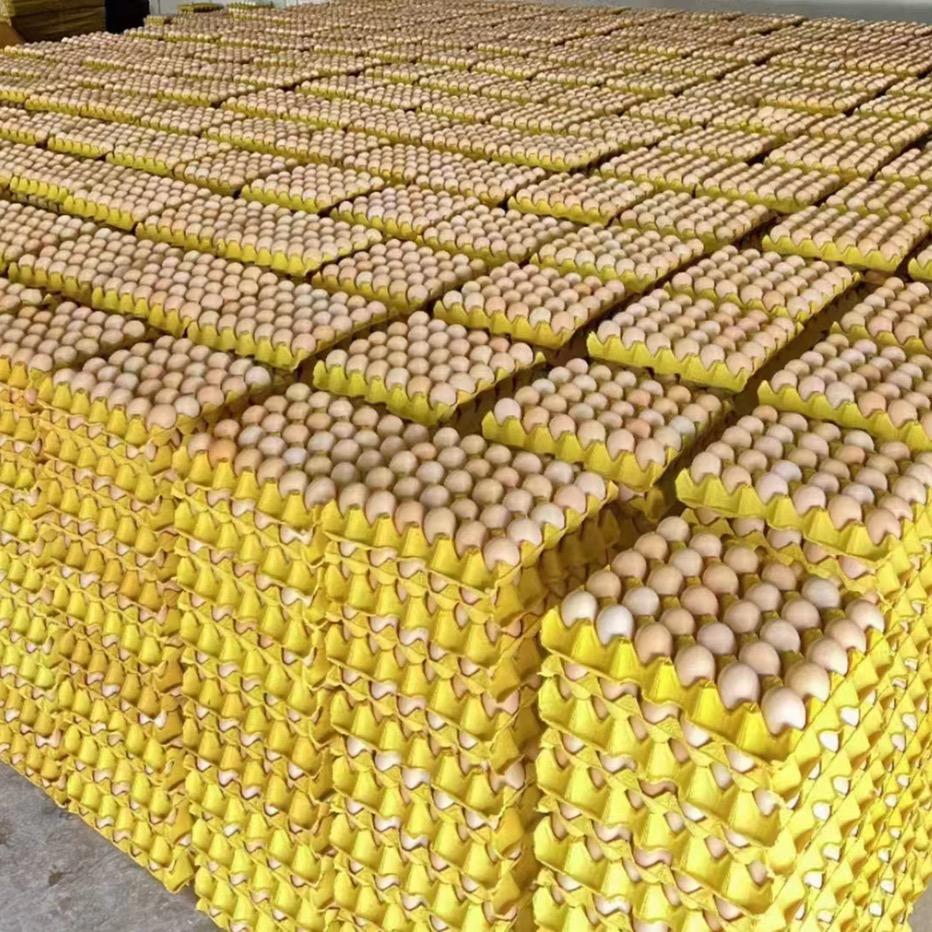 滁州市冬康胜鸡蛋批发有限公司