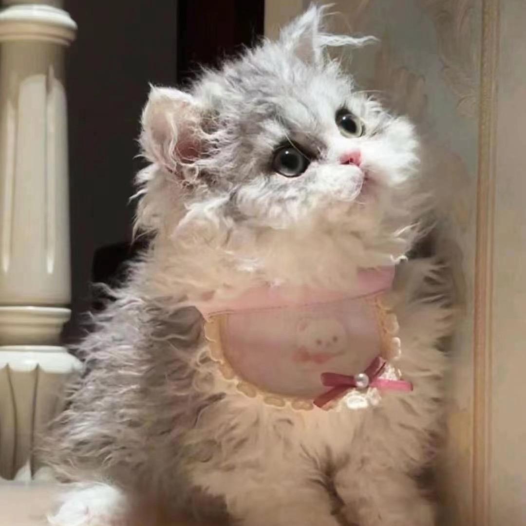 小鹿呀！