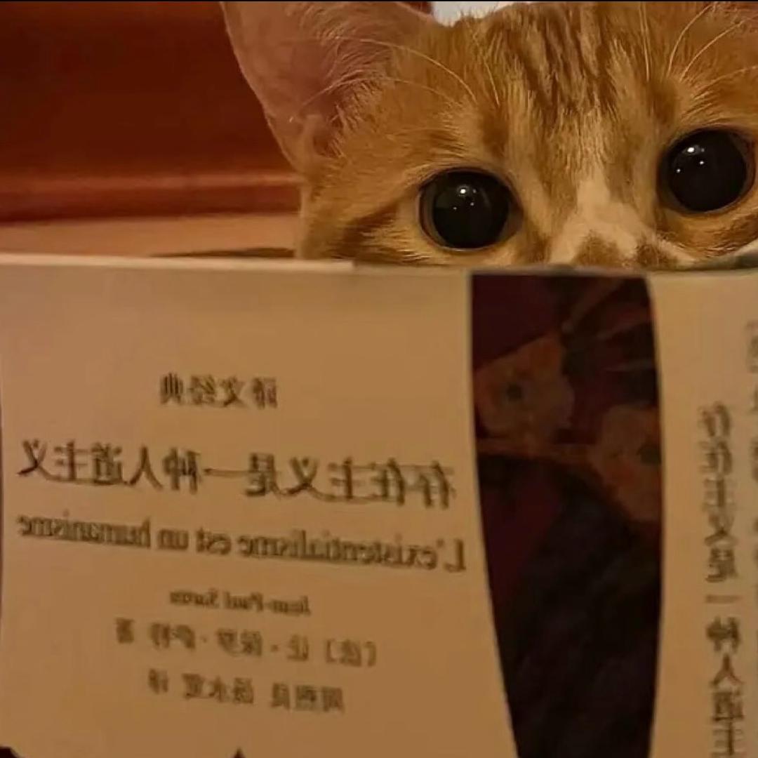 石家庄2392