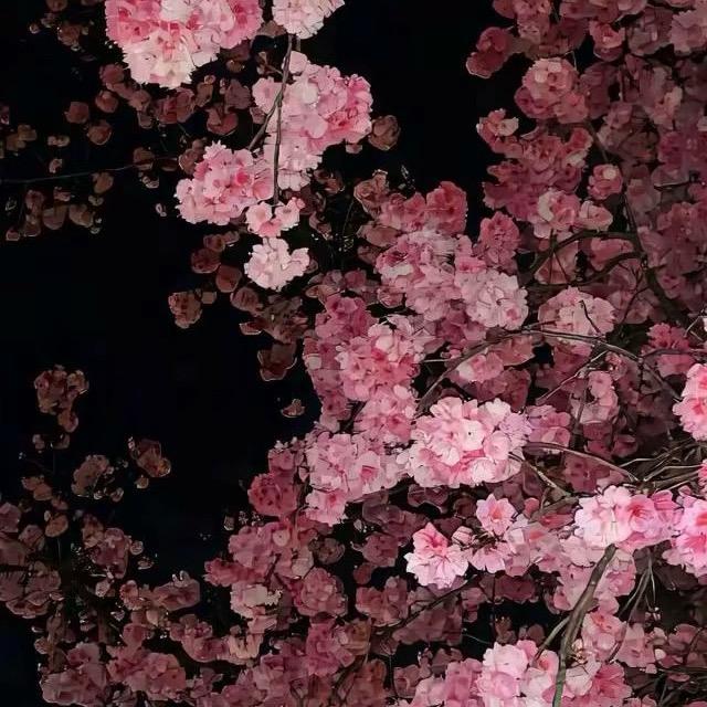 悠悠