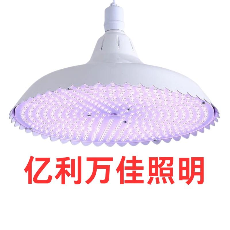 惠加鲜生鲜灯