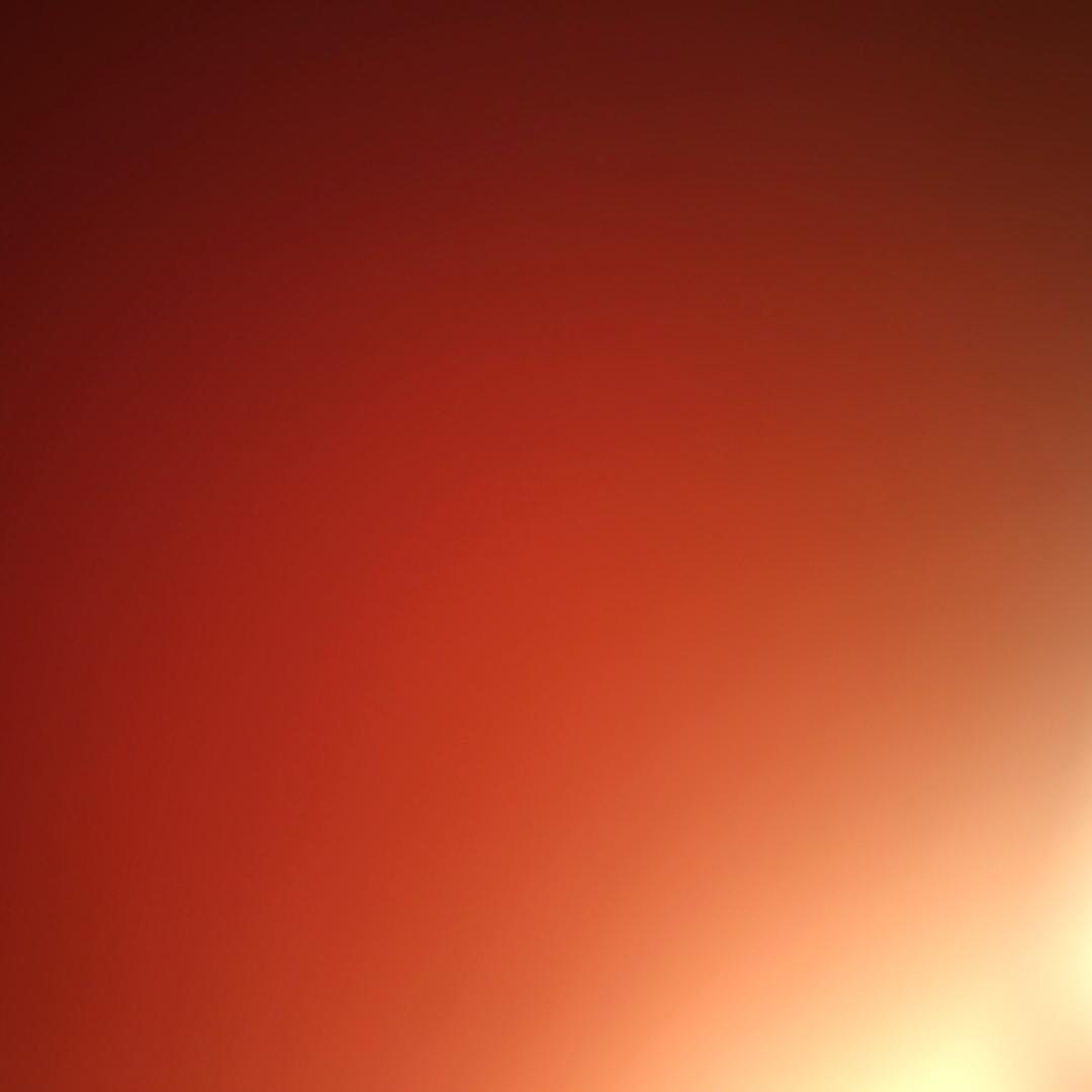 遗忘过去.