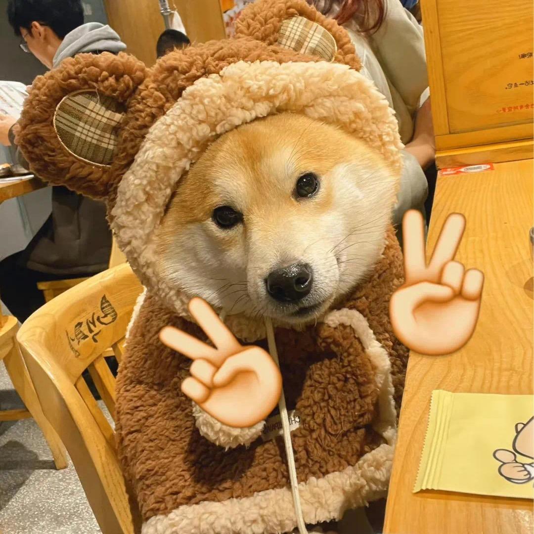 @睡觉对我真的很重要
