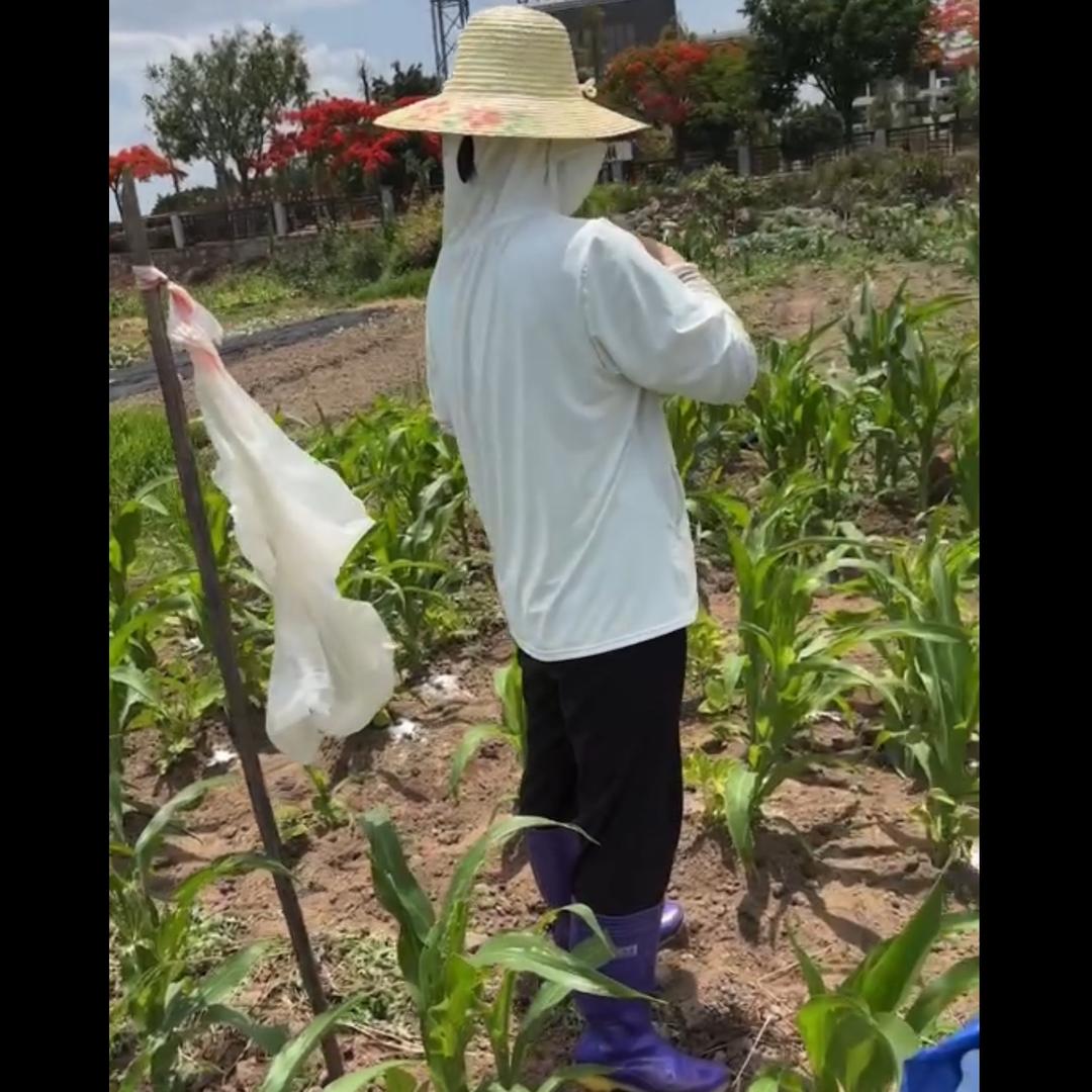 小徐美食记